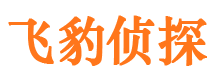 光泽侦探公司